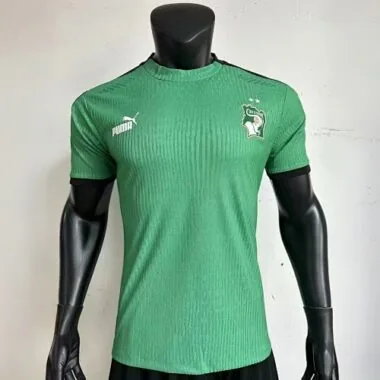 2023 Ivory Coast Green Kit Player Version Shirts Football