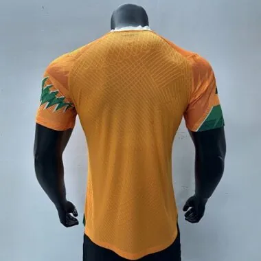2023 Ivory Coast Special Edition Orange Kit Player Version Shirts Football