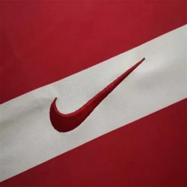 2010 Serbia home
