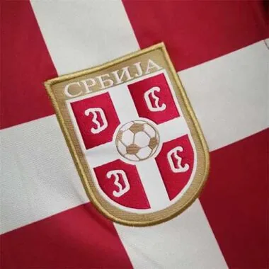 2010 Serbia home