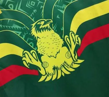 2022 Mali home