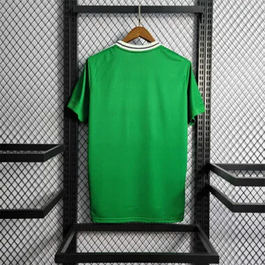 2022 Northern Ireland home