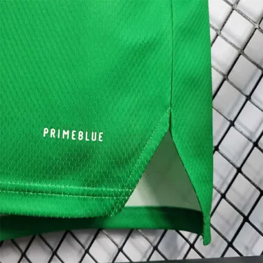 2022 Northern Ireland home