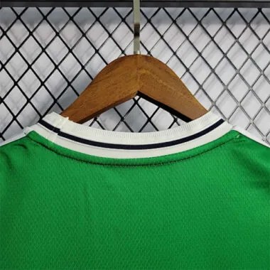 2022 Northern Ireland home