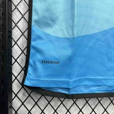 Abbigliamento da calcio con la divisa da casa del Charlotte per il 24-25