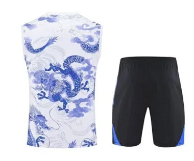 25-26 Real Madrid Blue Dragon Training Kits Football Vest Suits