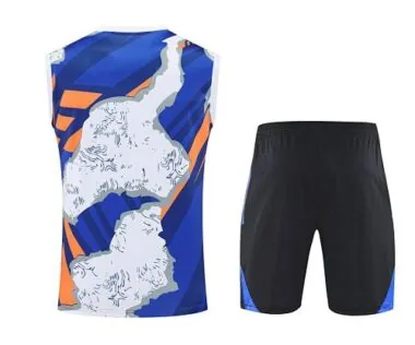 25-26 Real Madrid Beige&amp;Viola Training Kits Football Vest Suits