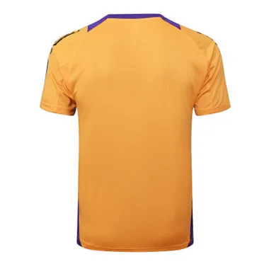 24-25 Real Madrid Yellow Trainingt Kit Soccer