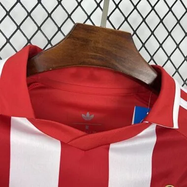 Camiseta de fútbol del kit de la edición especial 25-26 de Granada