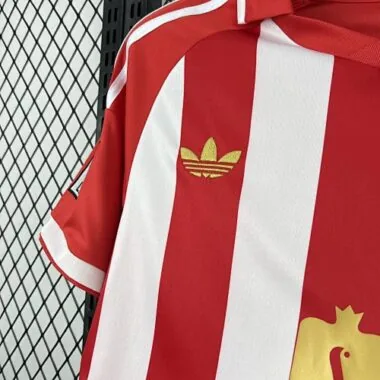 Camiseta de fútbol del kit de la edición especial 25-26 de Granada