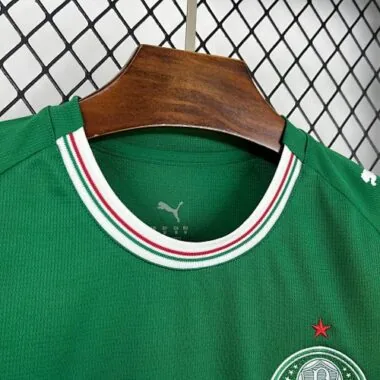 26-27 Palmeiras Home Womens Kit Soccer T-Shirt