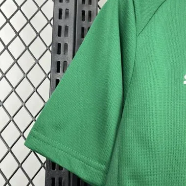26-27 Palmeiras Home Kit Soccer T-Shirt
