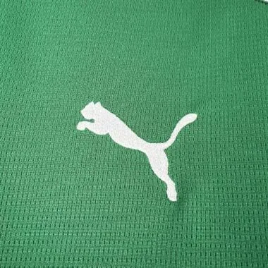 26-27 Palmeiras Home Kit Soccer T-Shirt