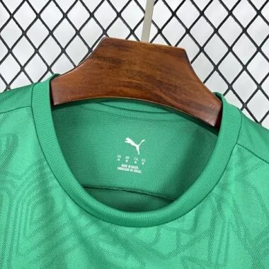 25-26 Palmeiras Pre-Match Kit Soccer T-Shirt