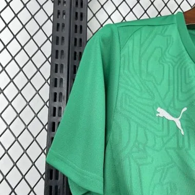 25-26 Palmeiras Pre-Match Kit Soccer T-Shirt