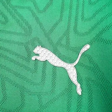 25-26 Palmeiras Pre-Match Kit Soccer T-Shirt