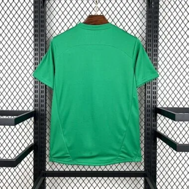 25-26 Palmeiras Pre-Match Kit Soccer T-Shirt