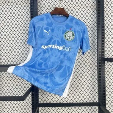 25-26 Palmeiras Goalkeeper Kit Soccer AAAAJersey Yupoo