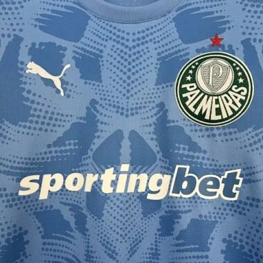 25-26 Palmeiras Goalkeeper Kit Soccer