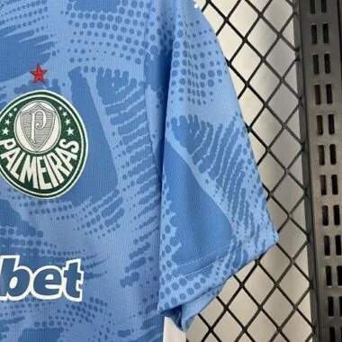 25-26 Palmeiras Goalkeeper Kit Soccer