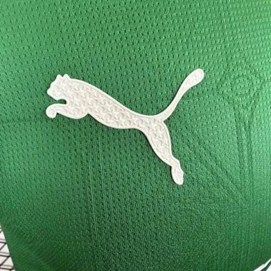25-26 Palmeiras Home Kit Player Version Soccer