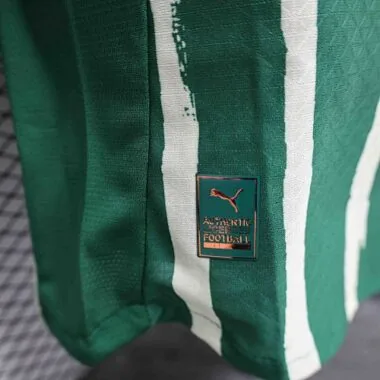25-26 Palmeiras Green Kit Special Edition Player Version Soccer
