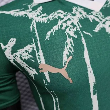 25-26 Palmeiras Green Kit Special Edition Player Version Soccer