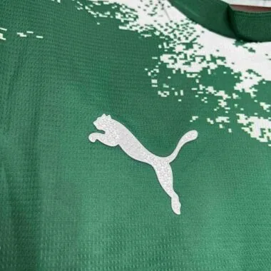 24-25 Palmeiras For a Greener Future Special Edition Kit