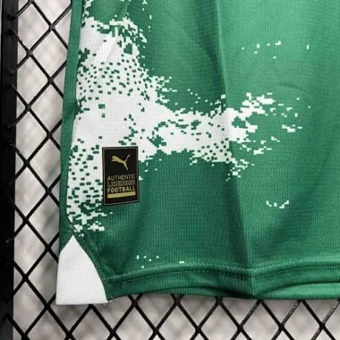 24-25 Palmeiras For a Greener Future Special Edition Kit
