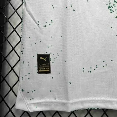 24-25 Palmeiras: «Por um Futuro Mais Verde» — Edição Especial, Equipamento 2