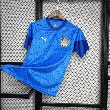 24-25 Palmeiras Goalkeeper Blue Kit Football Uniform