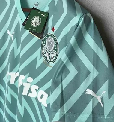 24-25 Palmeiras Goalkeeper Green Kit Jerseys Supllier