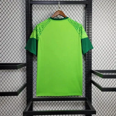 24-25 Palmeiras Training Shirt Football