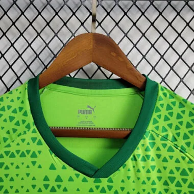24-25 Palmeiras Training Shirt Football