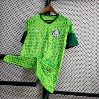 24-25 Palmeiras Training Shirt Football