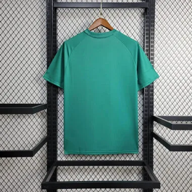 24-25 Palmeiras Training Kit Jersey