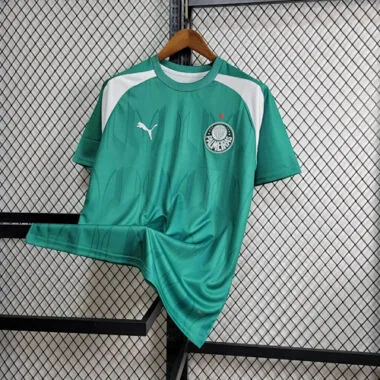 24-25 Palmeiras Training Kit Jersey