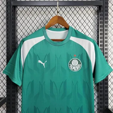 24-25 Palmeiras Training Kit Jersey