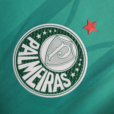 24-25 Palmeiras Training Kit Jersey