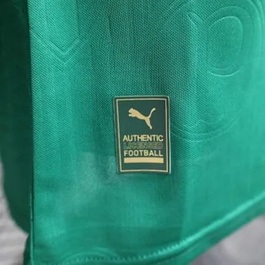 24-25 Palmeiras Home Kit Player Version Shirt Best Jerseys Yupoo