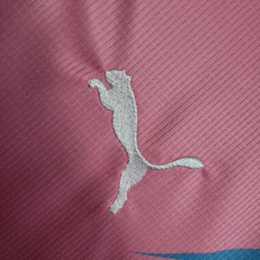 23-24 Palmeiras Special Edition Pink&Blue S-4XL Cheap Soccer Jerseys