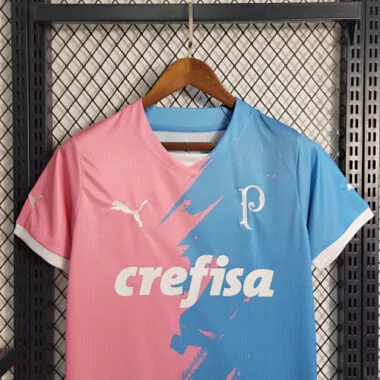 23-24 Palmeiras Special Edition Pink&Blue S-4XL Cheap Soccer Jerseys