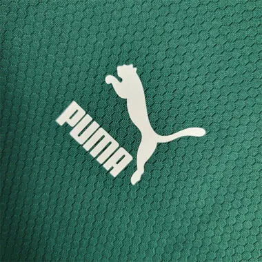 23-24 Palmeiras Training Suit Green Size S-XXL