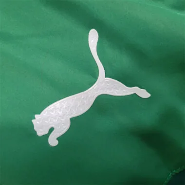 23-24 Windbreaker Palmeiras