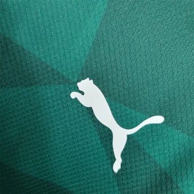 23-24 Palmeiras home long-sleeved