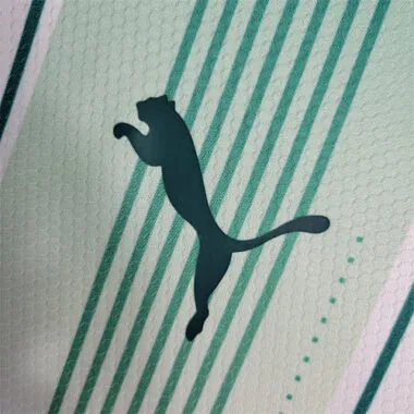 23-24 Palmeiras away long-sleeved