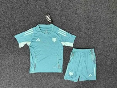 25-26 Cruzeiro Training Kid Kits Soccer AAAAJersey Yupoo