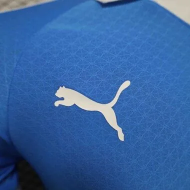 24-25 Al Hilal Blue Edizione Speciale Versione Giocatore Calcio