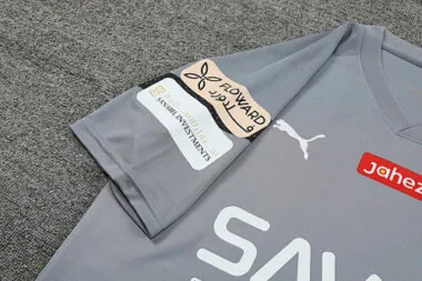 Maglie da allenamento da calcio Al-Hilal Saudi 23-24