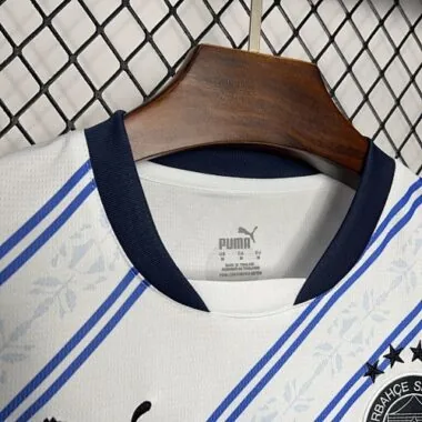 Camiseta de visitante del Fenerbahçe 24-25. Equipaciones de fútbol. Fútbol